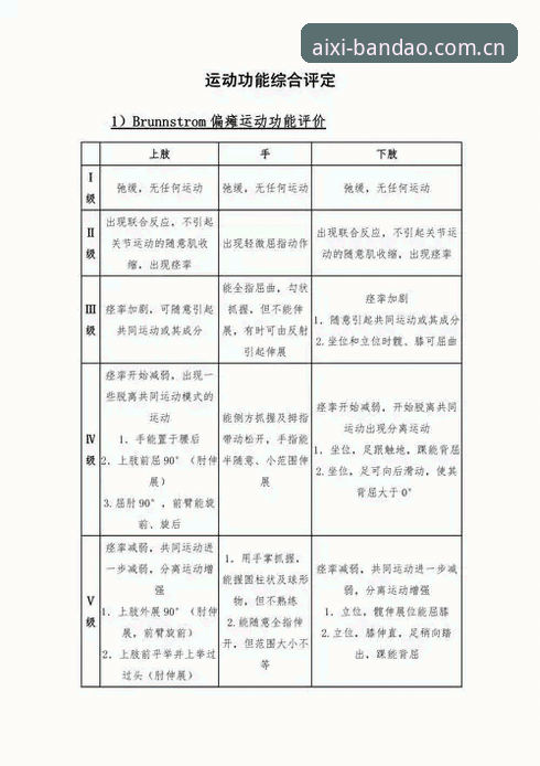 半岛体育综合功能特点评测：5大技术亮点与3种实用设置技巧